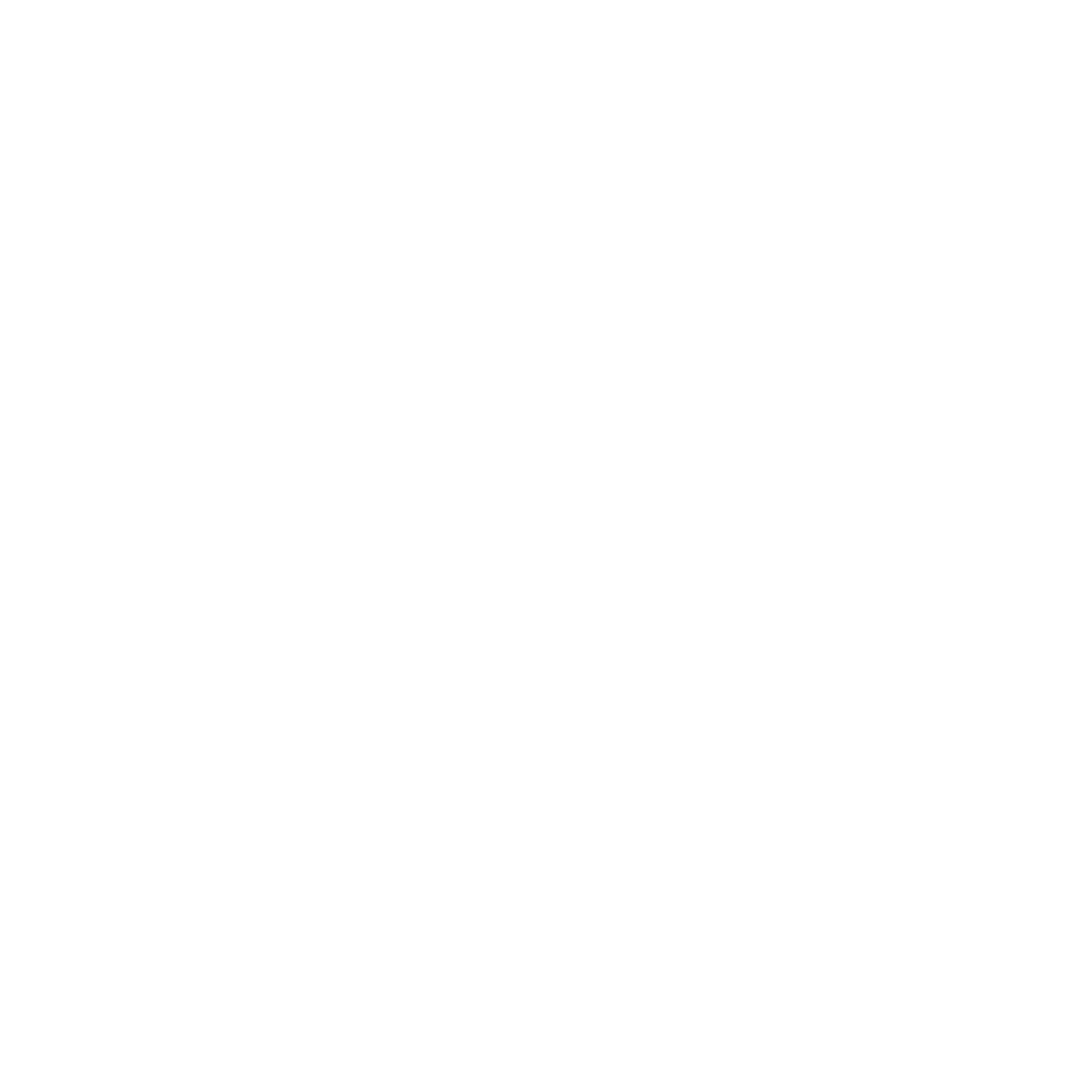 Master SAAN